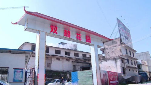 市區垃圾堆積與污水橫流問題亟待整改